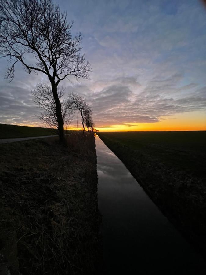 Het Wierhuis Pieterburen Dış mekan fotoğraf