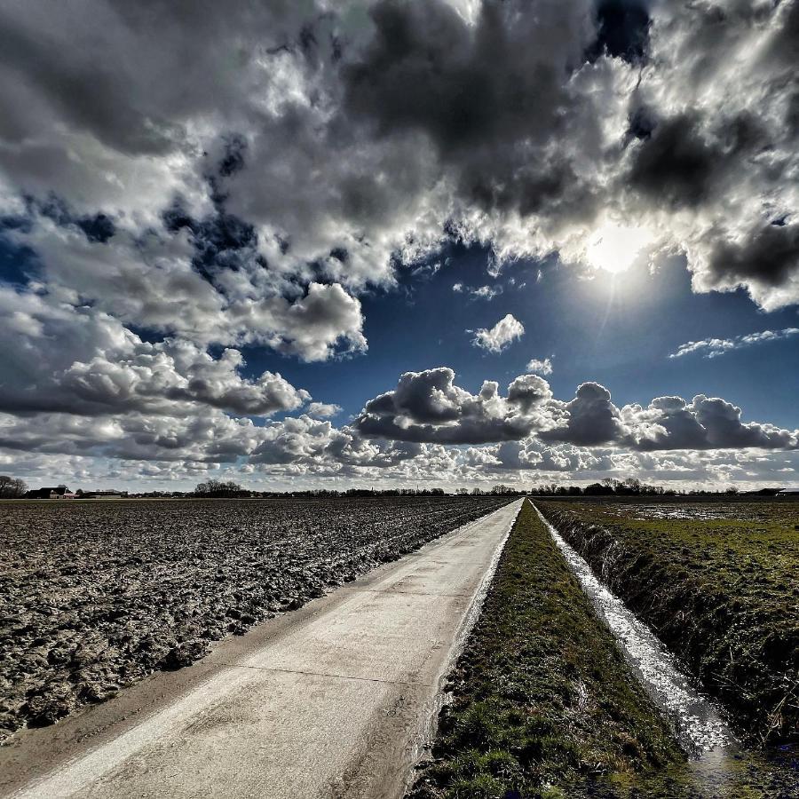 Het Wierhuis Pieterburen Dış mekan fotoğraf